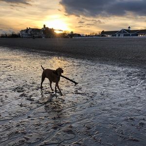 Meet your Posher, Andreea